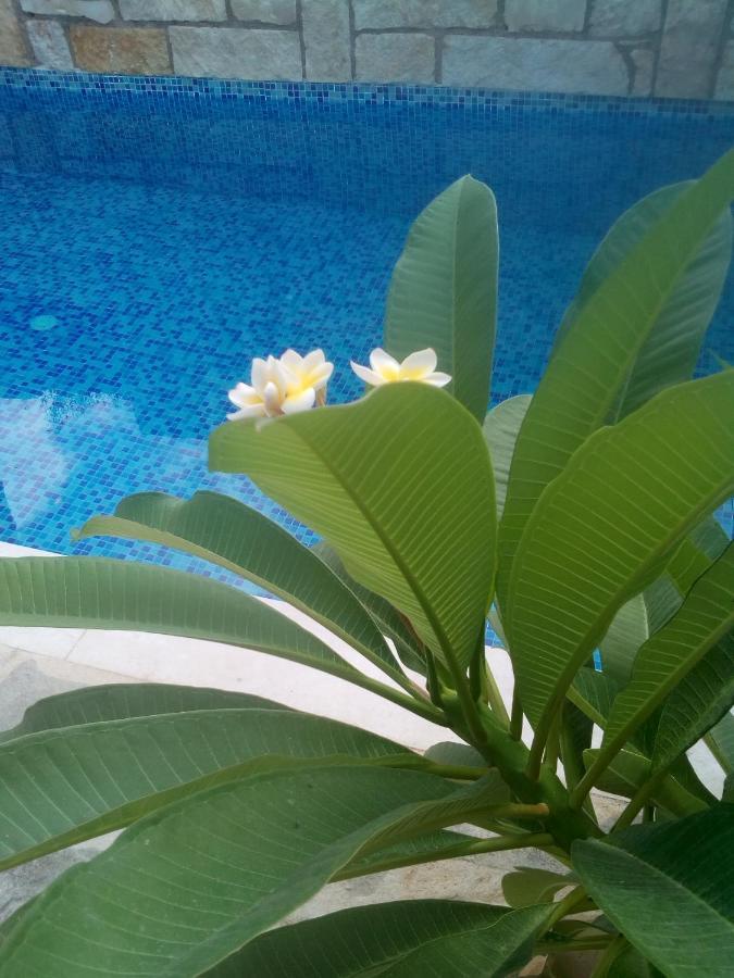 “Theeporto” Maisonette With Pool Gouves Dış mekan fotoğraf